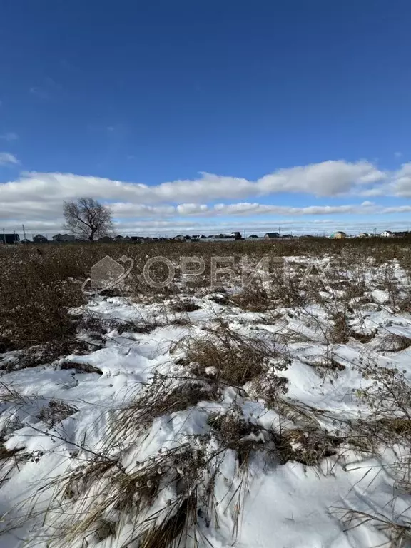 Участок в Тюменская область, Тюменский район, д. Есаулова, Клюква кп  ... - Фото 0