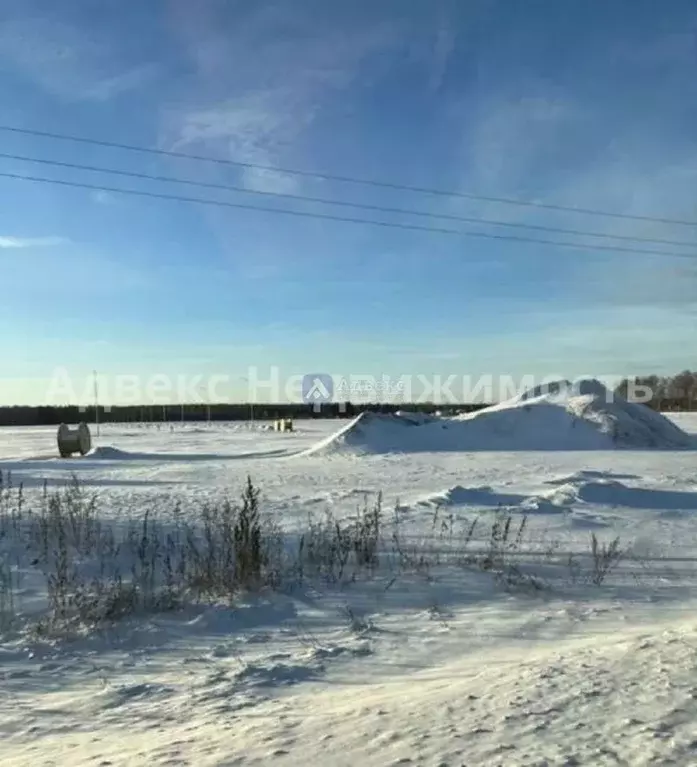 Участок в Тюменская область, Тюменский район, с. Каменка  (9.16 сот.) - Фото 0