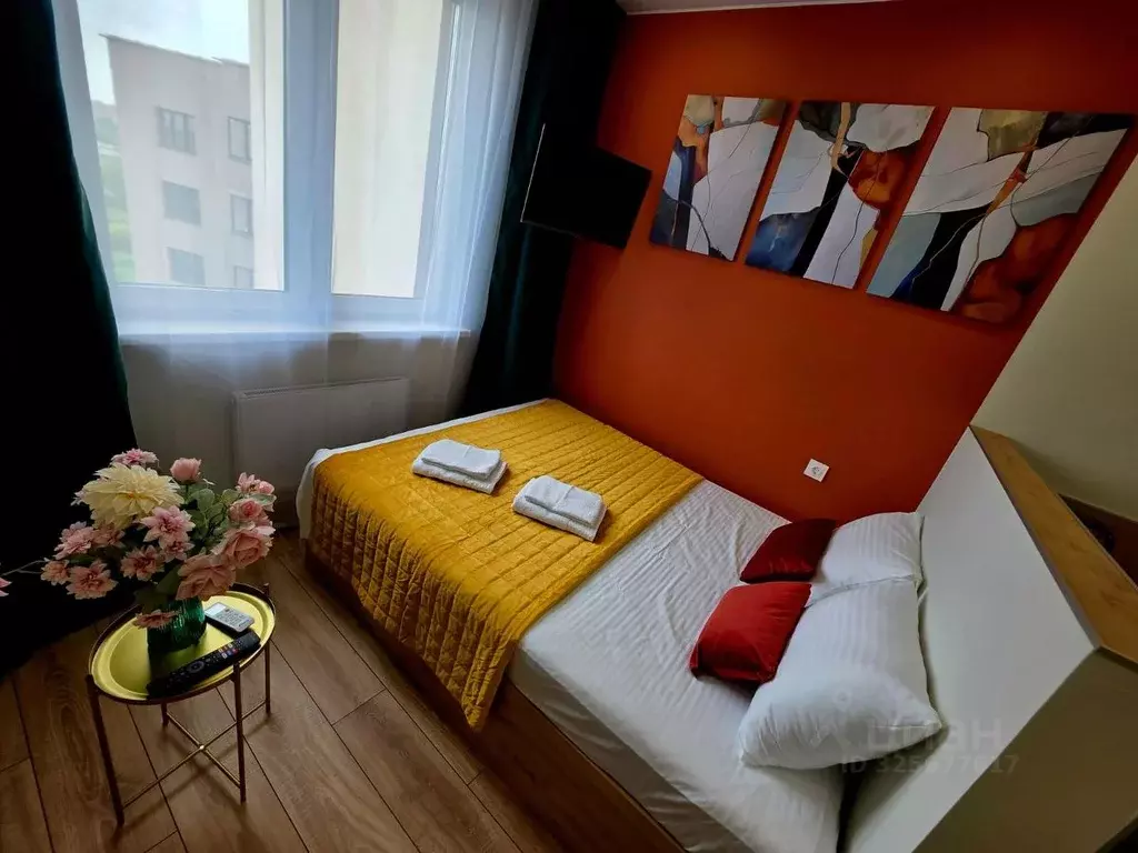 Студия Тюменская область, Тюмень ул. 2-я Луговая, 24к3 (24.0 м) - Фото 2