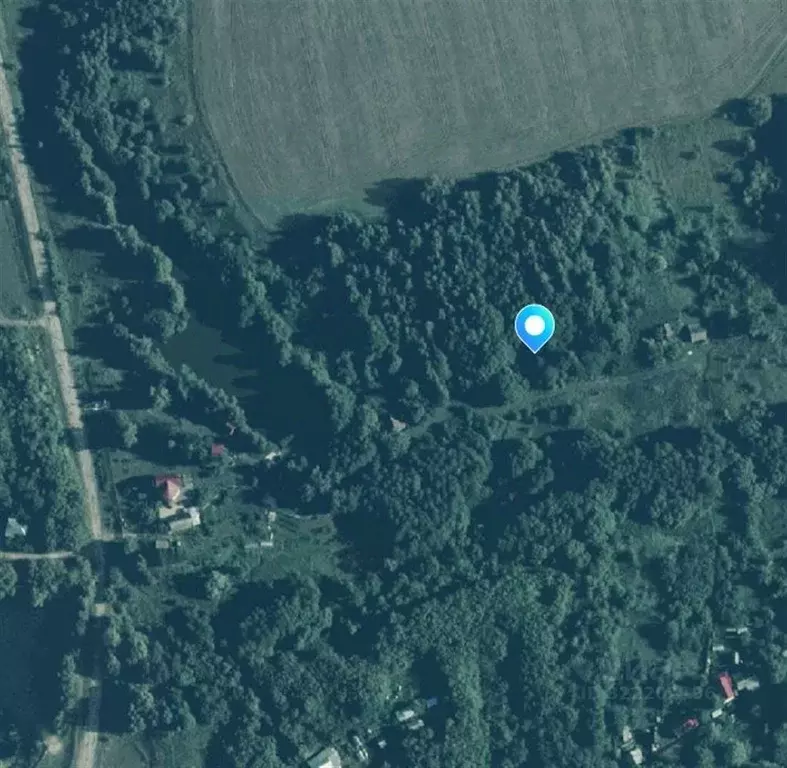 Участок в Рязанская область, Клепиковский район, Ненашкинское с/пос, ... - Фото 1