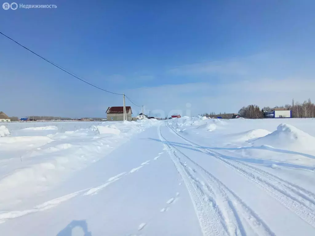 Участок в Наумовский сельсовет, деревня Покровка, Ашкадарская улица ... - Фото 1
