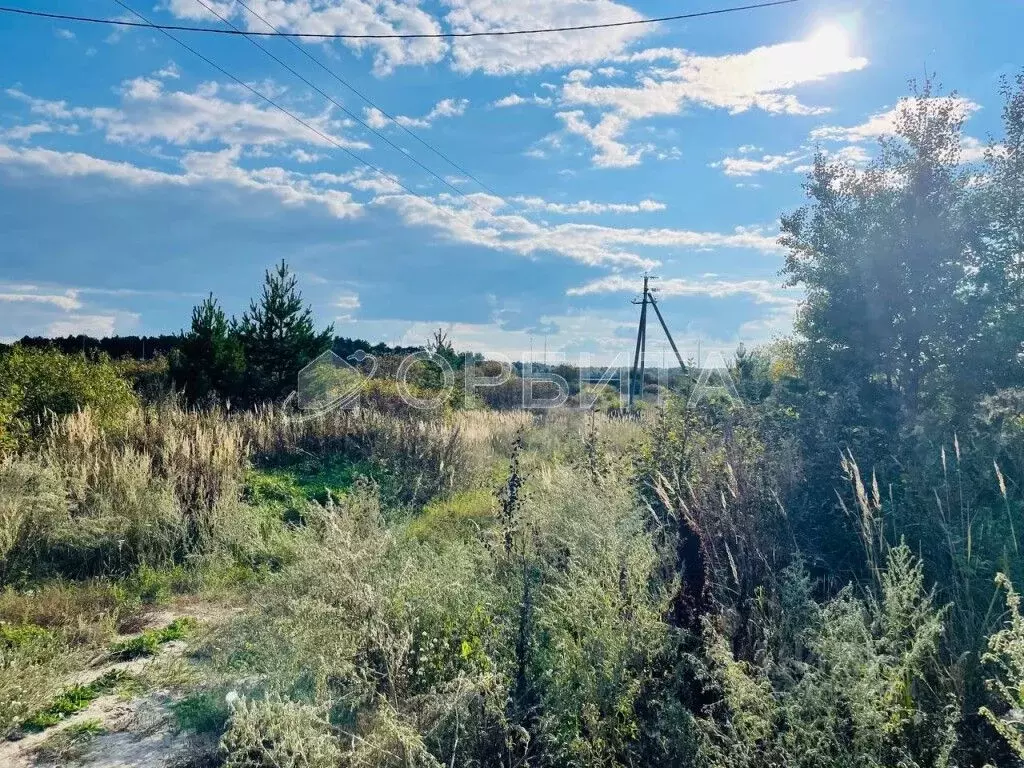 Участок в Тюменская область, Тюменский муниципальный округ, с. ... - Фото 2