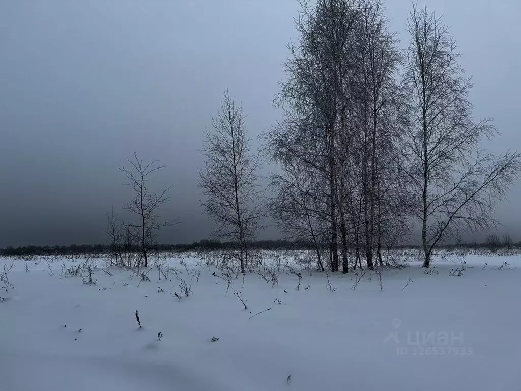 Участок в Московская область, Ступино городской округ, д. Чиркино ул. ... - Фото 1