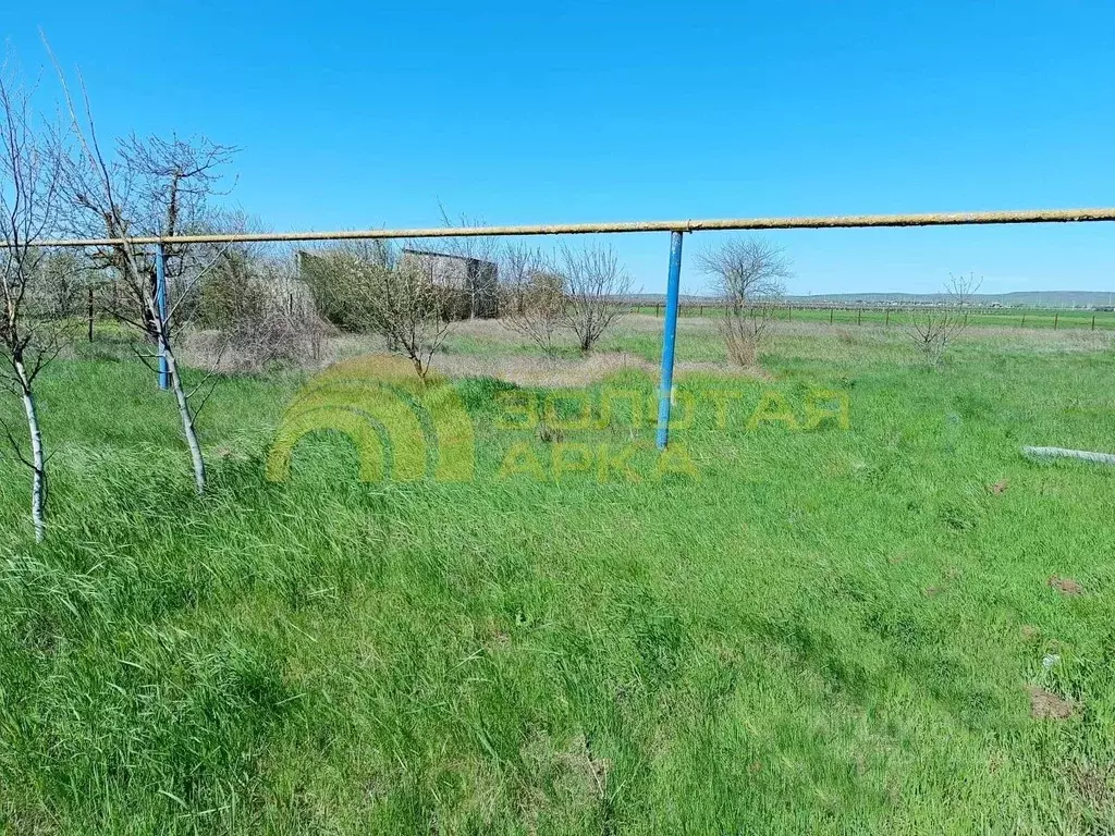 Участок в Краснодарский край, Темрюкский район, Новотаманское с/пос, ... - Фото 1