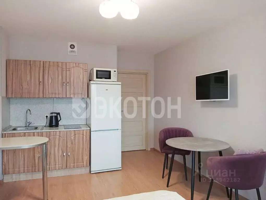 Студия Санкт-Петербург просп. Энергетиков, 9к3 (26.0 м) - Фото 1