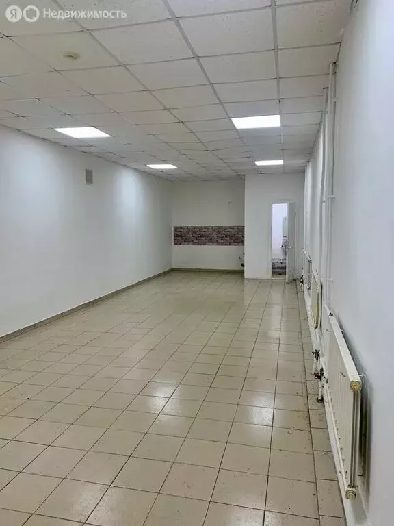 Помещение свободного назначения (702 м) - Фото 1