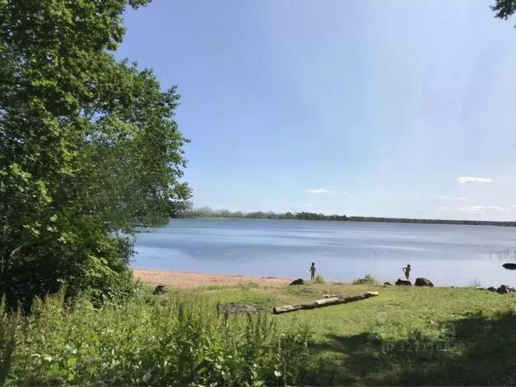 Участок в Ленинградская область, Гатчинский муниципальный округ, с. ... - Фото 1