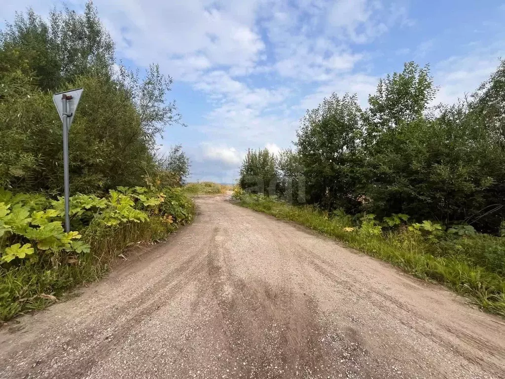 Участок в Коми, Сыктывдинский район, Зеленец муниципальное ... - Фото 1