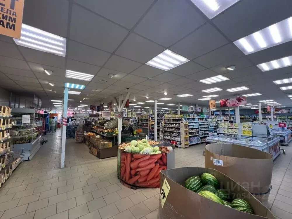 Торговая площадь в Московская область, Чехов Губернский мкр, 2 (752 м) - Фото 1