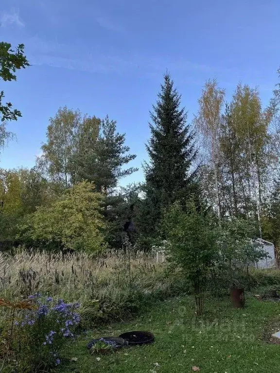 Участок, 6 сот., сельхоз (снт или днп) - Фото 0