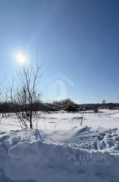 Участок в Алтайский край, Барнаул городской округ, пос. Черницк  (7.46 ... - Фото 0