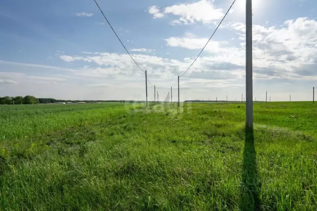 Участок в Татарстан, Тукаевский район, Калмиинское с/пос, Новая Калмия ... - Фото 2