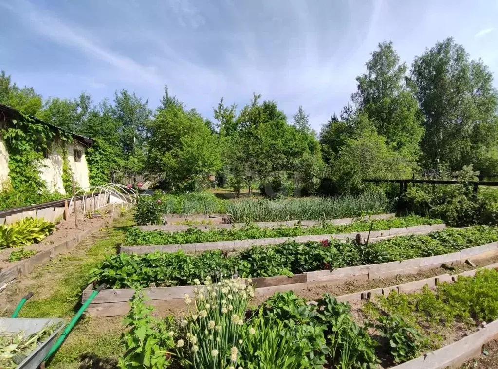 Участок в Костромская область, Шарья ул. Кирова (18.9 сот.) - Фото 1