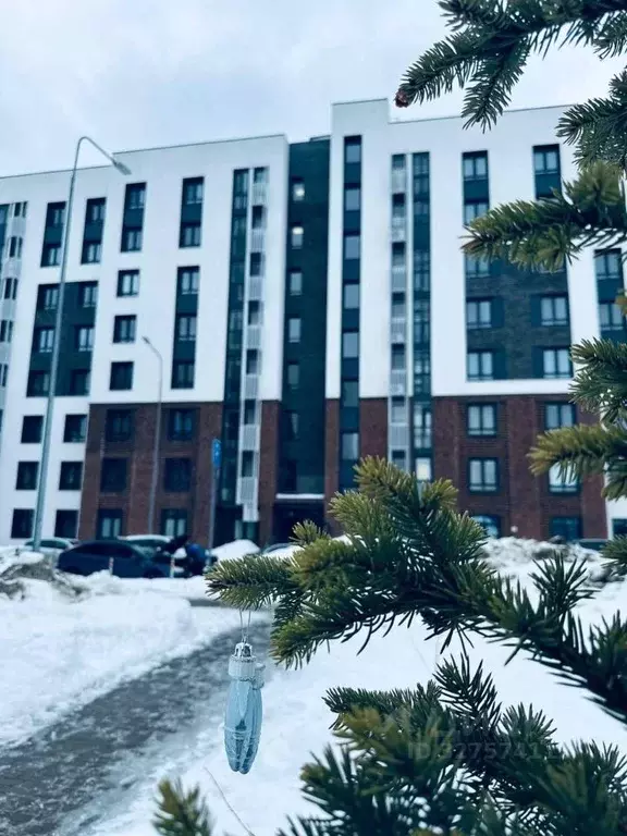 Студия Московская область, Подольск городской округ, д. Борисовка ... - Фото 1