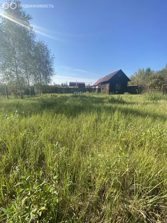 Дом в Московская область, городской округ Ступино, СНТ Орехово (24 м) - Фото 0