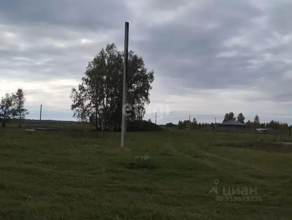 Участок в Новосибирская область, Новосибирский район, Верх-Тулинский ... - Фото 0