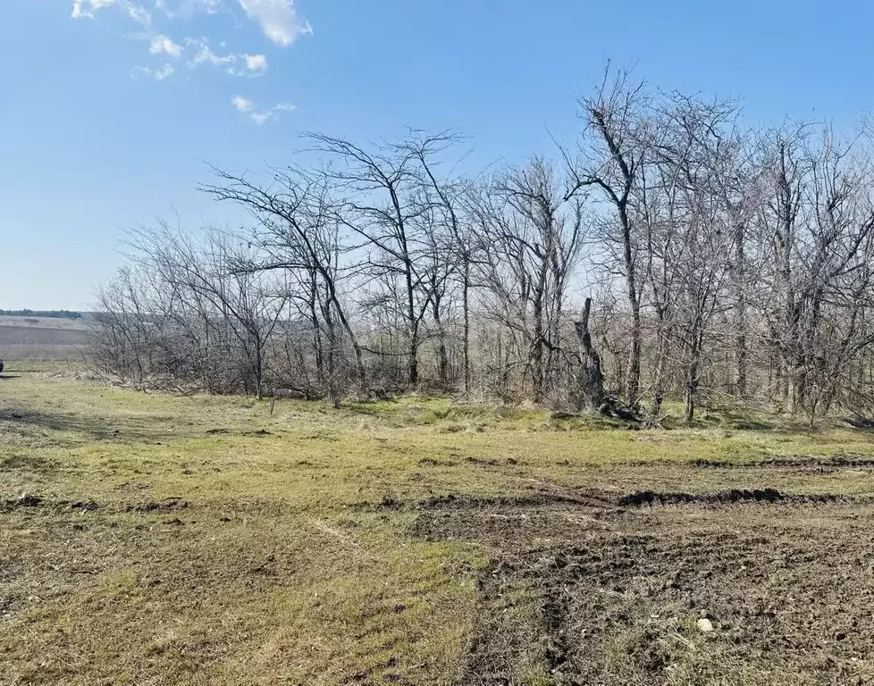Участок в Крым, Симферопольский район, с. Донское  (395.86 сот.) - Фото 2