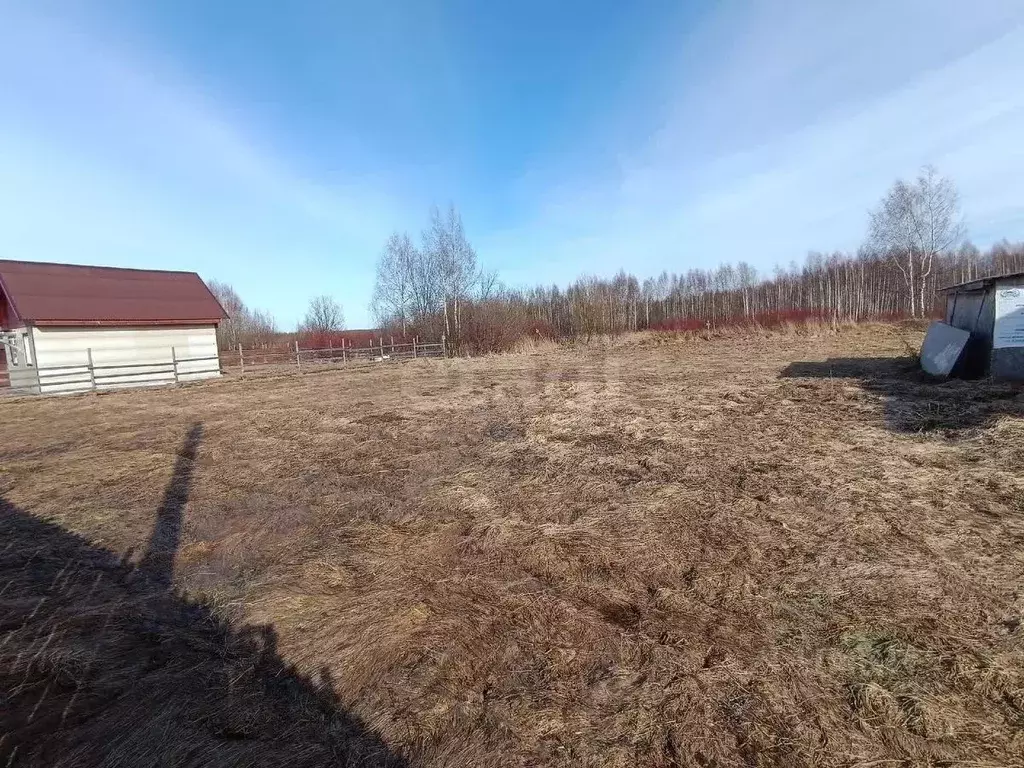 Участок в Костромская область, Костромской район, Бакшеевское с/пос, ... - Фото 1