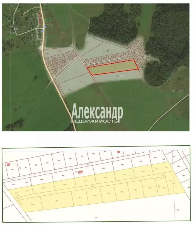 Участок в Ленинградская область, Ломоносовский район, Лопухинское ... - Фото 2