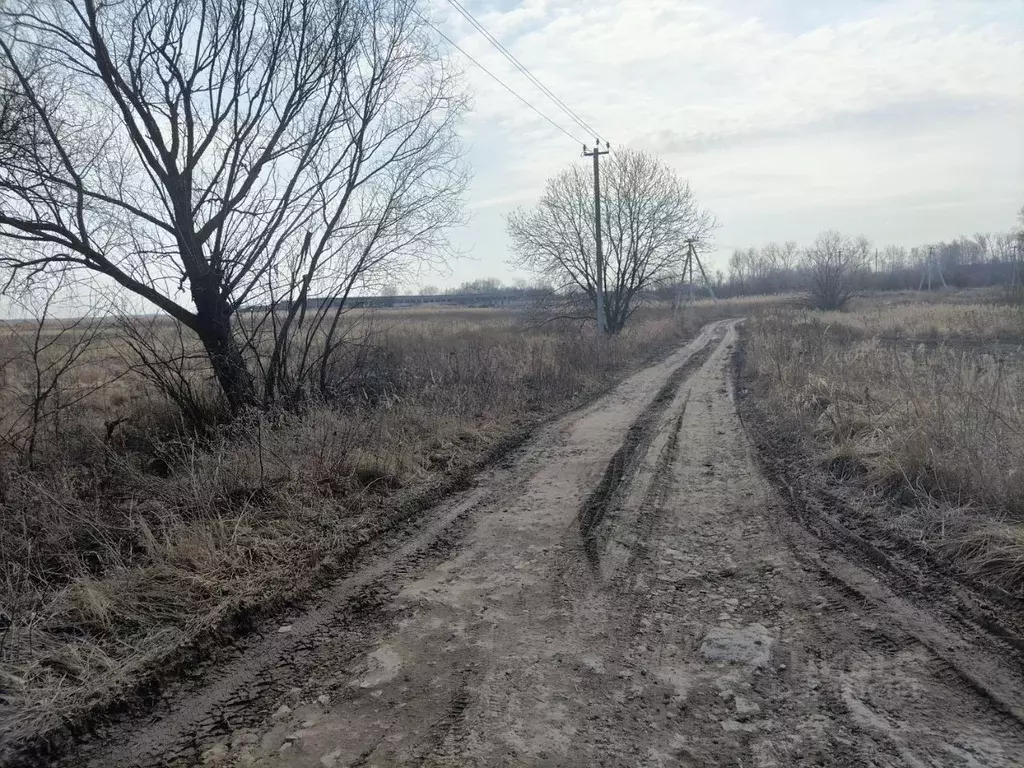 Участок в Московская область, Коломна городской округ, с. Чанки  (5.1 ... - Фото 2