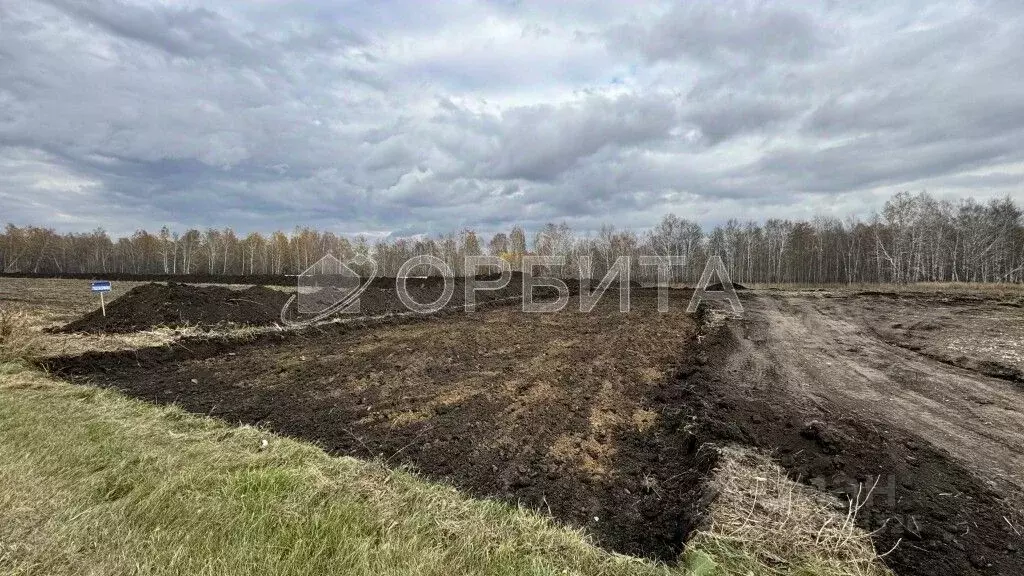 Участок в Тюменская область, Тюменский район, д. Малиновка  (7.0 сот.) - Фото 1