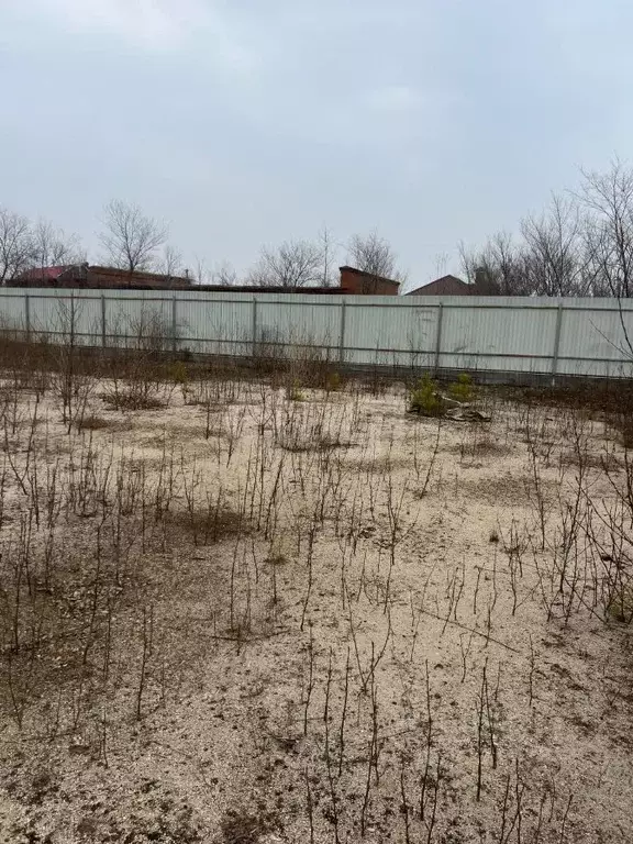 Участок в Амурская область, Благовещенский район, с. Чигири  (12.2 ... - Фото 0