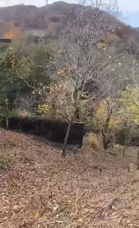 Участок в Краснодарский край, Сочи городской округ, с. Беранда ул. ... - Фото 1