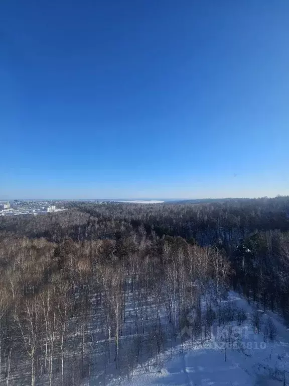 1-к кв. Иркутская область, Иркутский муниципальный округ, Маркова рп ... - Фото 2