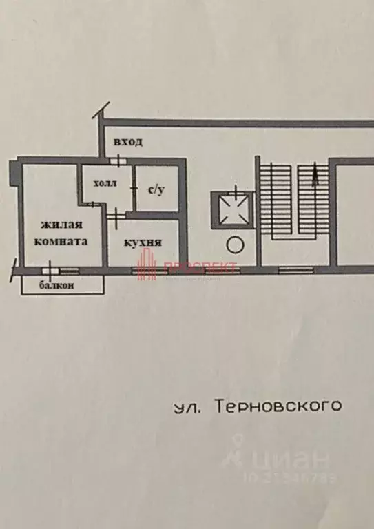 1-к кв. Пензенская область, Пенза ул. Терновского, 186 (27.0 м) - Фото 1