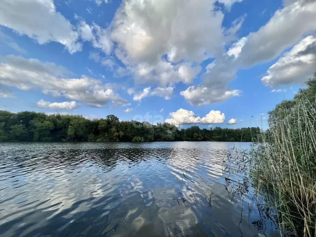 Дом в Белгородская область, Ракитянский муниципальный округ, с. ... - Фото 2