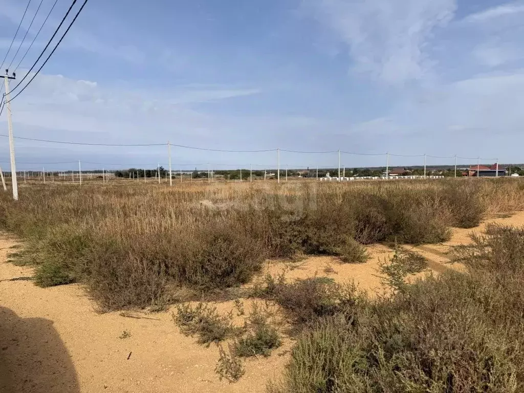 Участок в Ростовская область, Мясниковский район, с. Большие Салы ул. ... - Фото 2