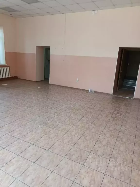 Помещение свободного назначения в Амурская область, с. Тамбовка ул. ... - Фото 1