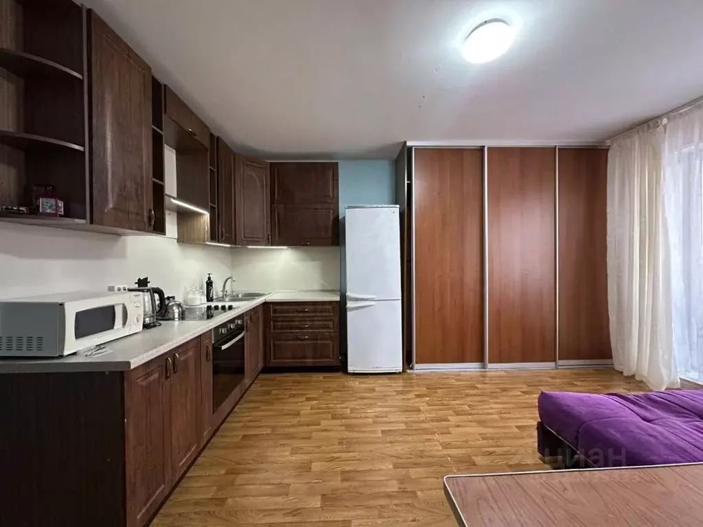 Студия Челябинская область, Челябинский городской округ, пос. ... - Фото 2