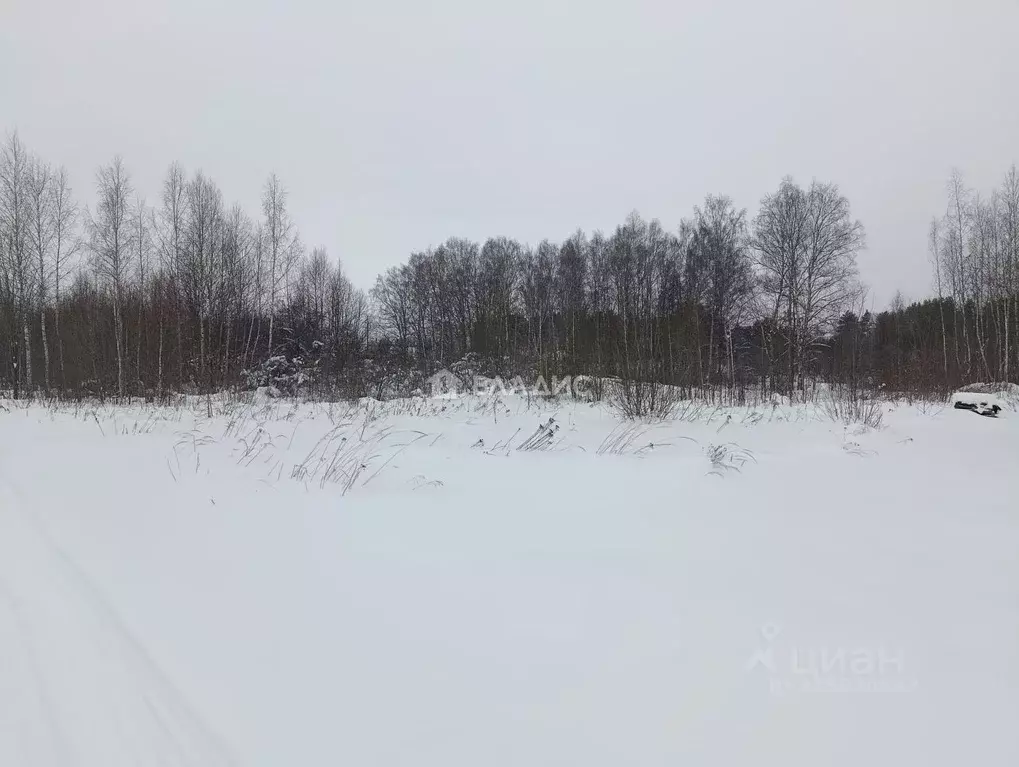 Участок в Владимирская область, Суздальский район, Новоалександровское ... - Фото 2