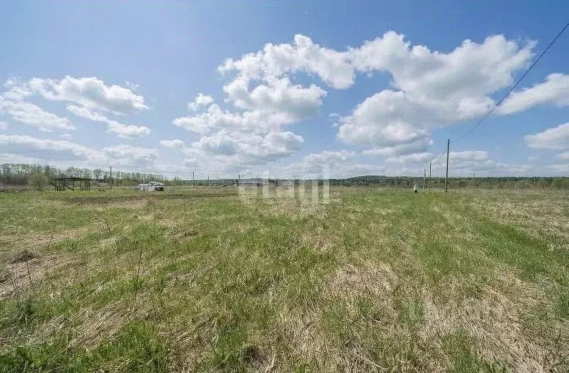 Участок в Пермский край, Пермский муниципальный округ, д. Большакино, ... - Фото 1