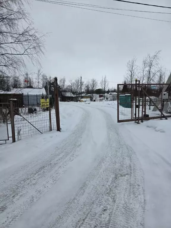 Участок в Санкт-Петербург Сергиево тер., ул. Красная, 13 (15.5 сот.) - Фото 1