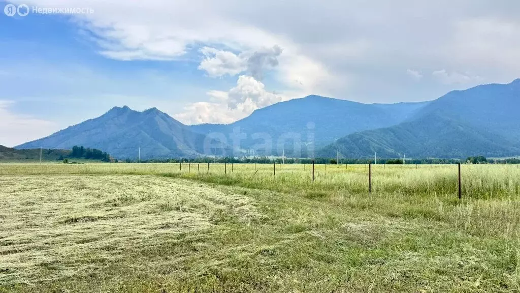 Участок в Усть-Коксинский район, село Тихонькая (10 м) - Фото 1