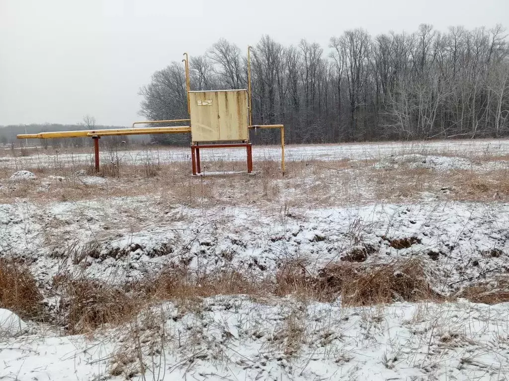 Участок в Адыгея, Майкопский район, Краснооктябрьское с/пос, пос. ... - Фото 1