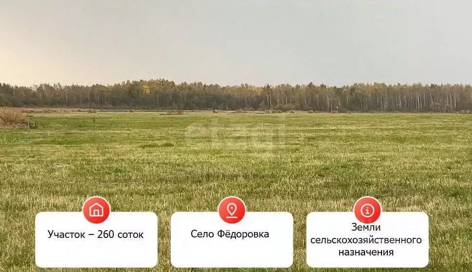 Участок в Хабаровский край, Хабаровский район, Мичуринское с/пос, с. ... - Фото 1