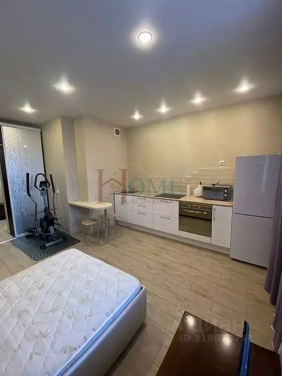 1-к кв. Новосибирская область, Новосибирск ул. Фрунзе, 49 (29.0 м) - Фото 1