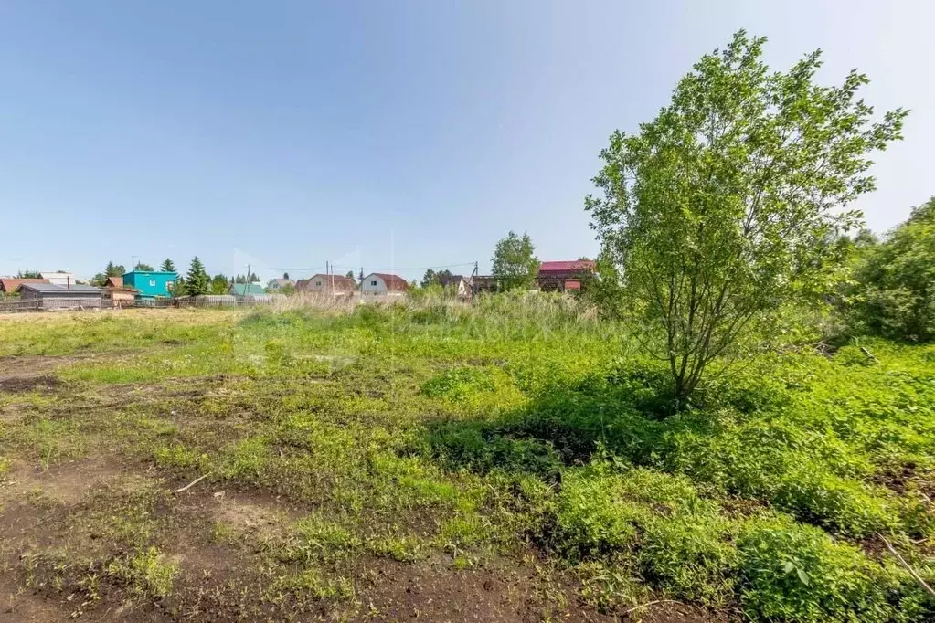 Участок в Тюменская область, Тюмень Якорь садовое товарищество, ул. ... - Фото 1