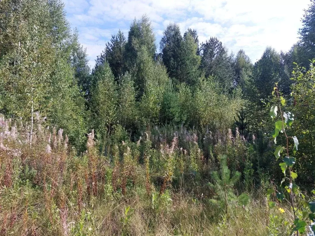 Участок в Свердловская область, Верхняя Пышма городской округ, пос. ... - Фото 2