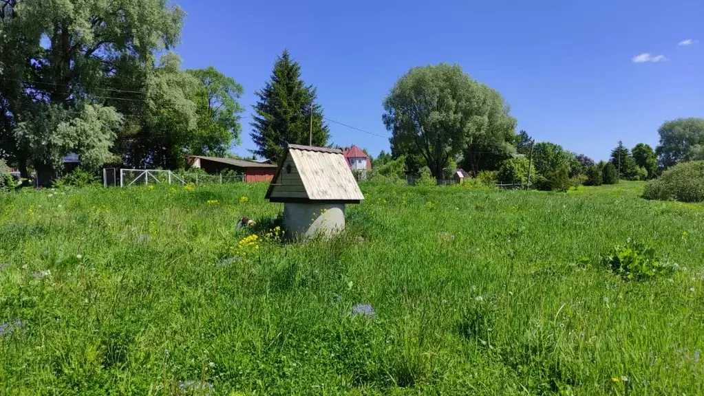Участок в Калужская область, Тарусский муниципальный округ, Барятино ... - Фото 2