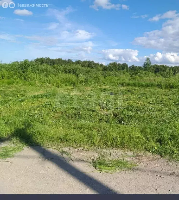 Участок в Станционный сельсовет, ДНП Лесные Дачи (7 м) - Фото 0