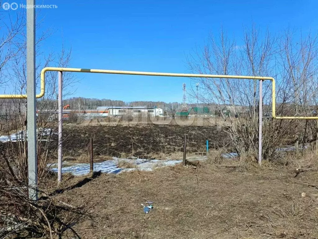 Участок в село Плотниково, Центральная улица (9 м) - Фото 0