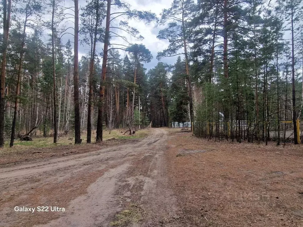 Дом в Алтайский край, Егорьевский район, Лебяжинский сельсовет, пос. ... - Фото 1