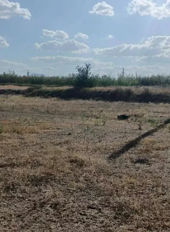 Участок в Курганская область, Кетовский муниципальный округ, с. ... - Фото 1