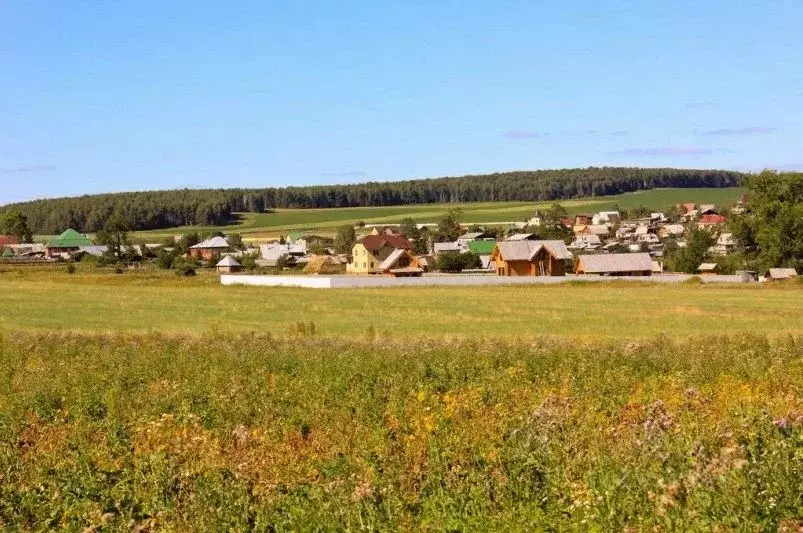 Участок в Челябинская область, Миасский городской округ, пос. Тыелга  ... - Фото 1
