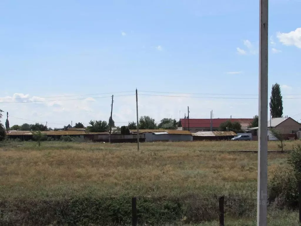 Участок в Волгоградская область, Быковский район, Новоникольское ... - Фото 1