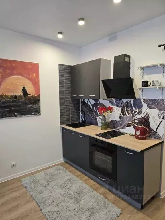 Студия Москва Муравская ул., 38Бк2 (20.0 м) - Фото 1